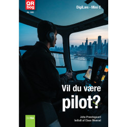 Vil du være pilot?