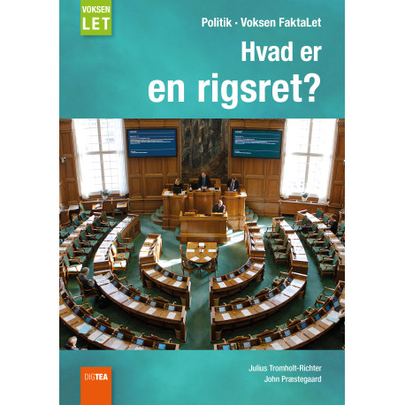 Hvad er en rigsret?