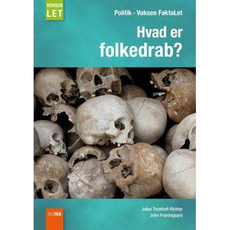 Hvad er folkedrab?