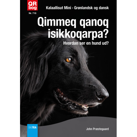 Qimmeq qanoq isikkoqarpa? - Hvordan ser en hund ud?