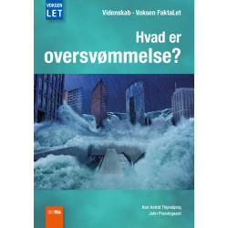 Hvad er oversvømmelse?