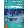 Hvad er oversvømmelse?