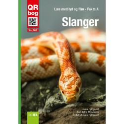 Slanger