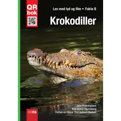 Krokodiller