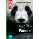 Pandor