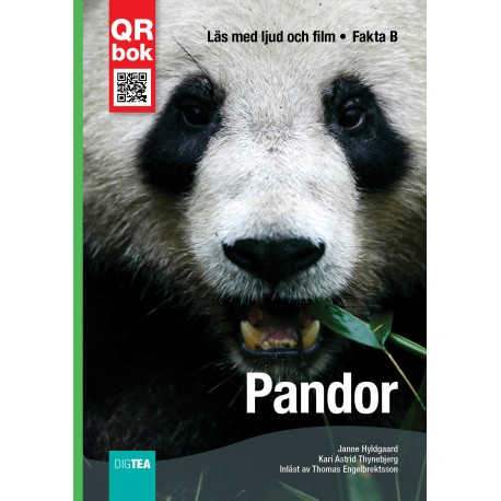 Pandor