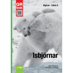 Isbjörnar