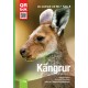 Kängrur