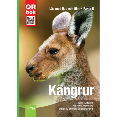 Kängrur