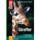 Giraffer