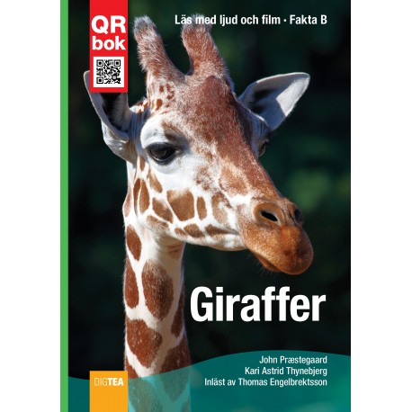 Giraffer