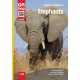Elephants