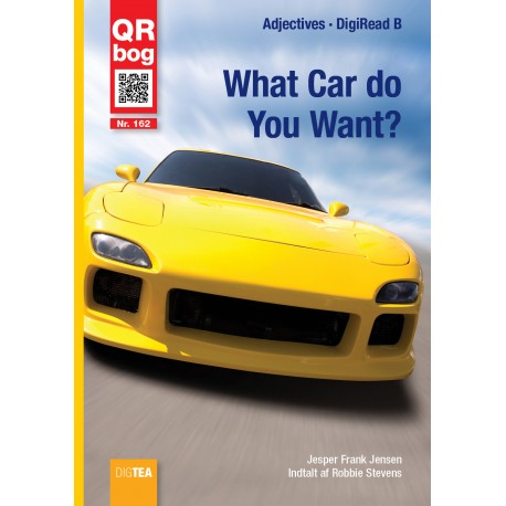 What Car do You Want?