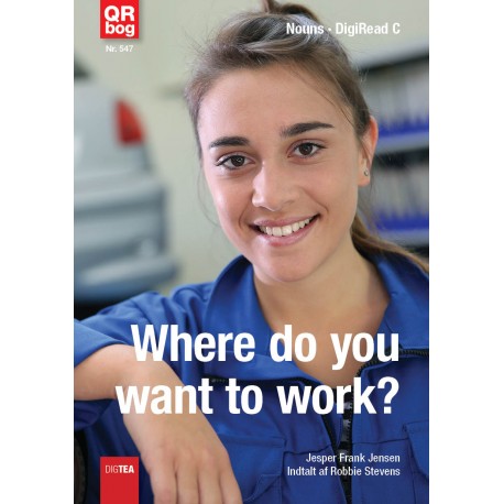 Where do you want to work? (Nouns)