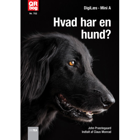 Hvordan ser en hund ud?