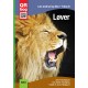Løver - Læs med lyd og film