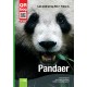 Pandaer