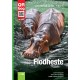 Flodheste