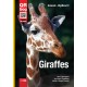 Giraffes