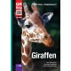 Giraffen